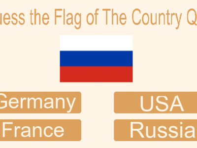 Guess The Flag Of The Country Quiz background